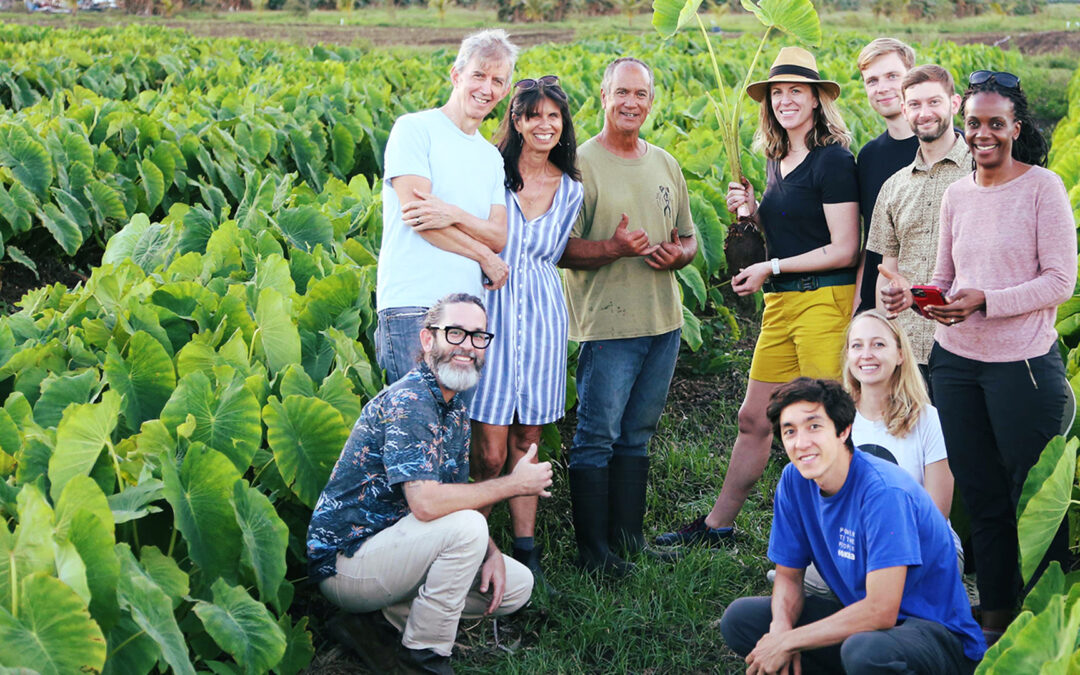 Harvesting satellite insights for Maui County farmers